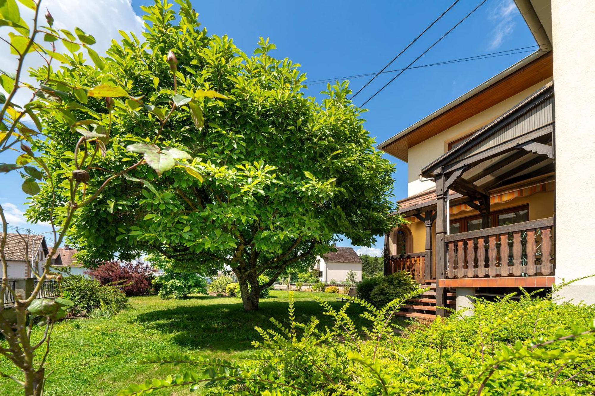 Bed and Breakfast La Clef Des Songes Merzmuhler Esterno foto