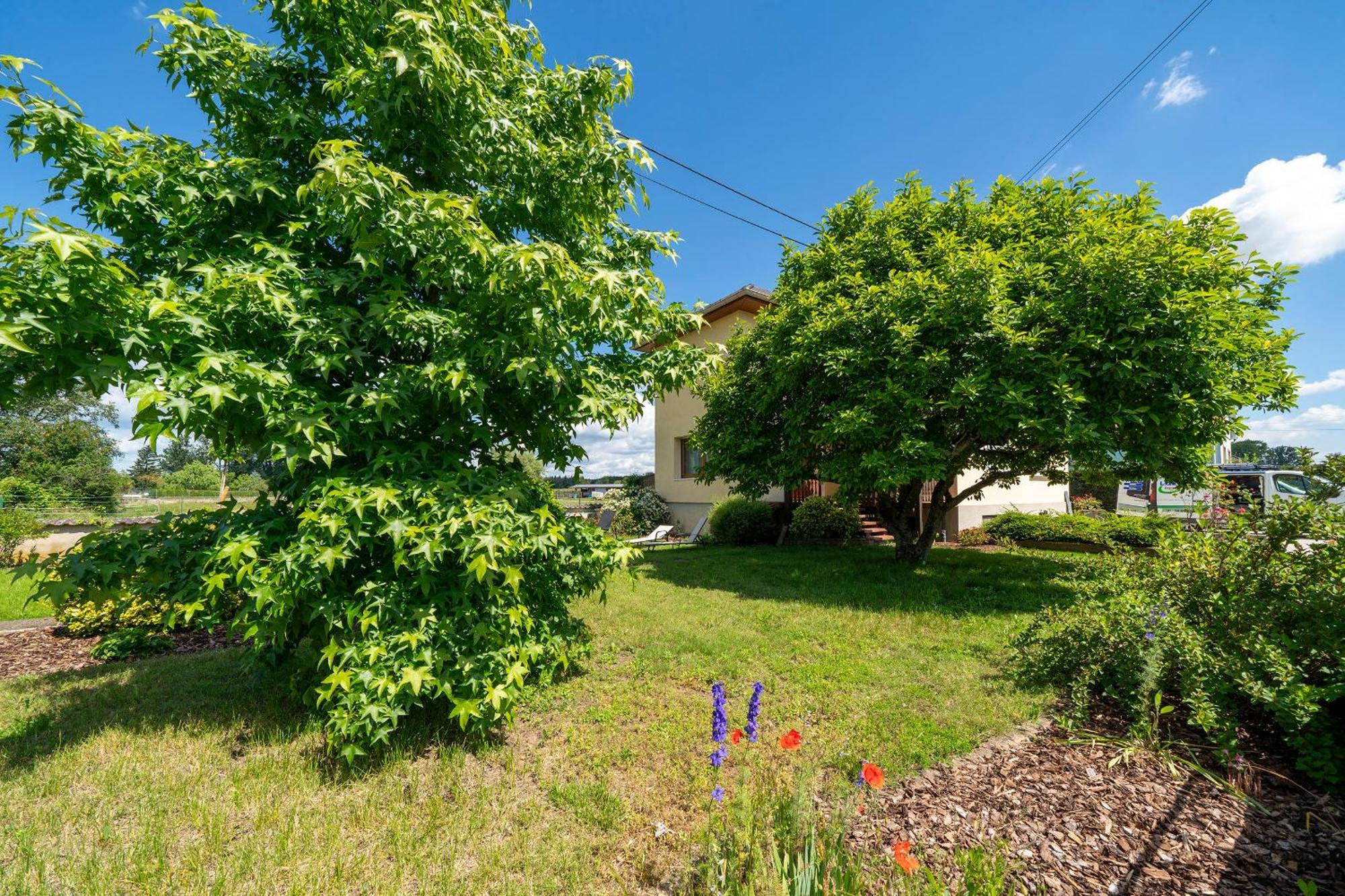 Bed and Breakfast La Clef Des Songes Merzmuhler Esterno foto