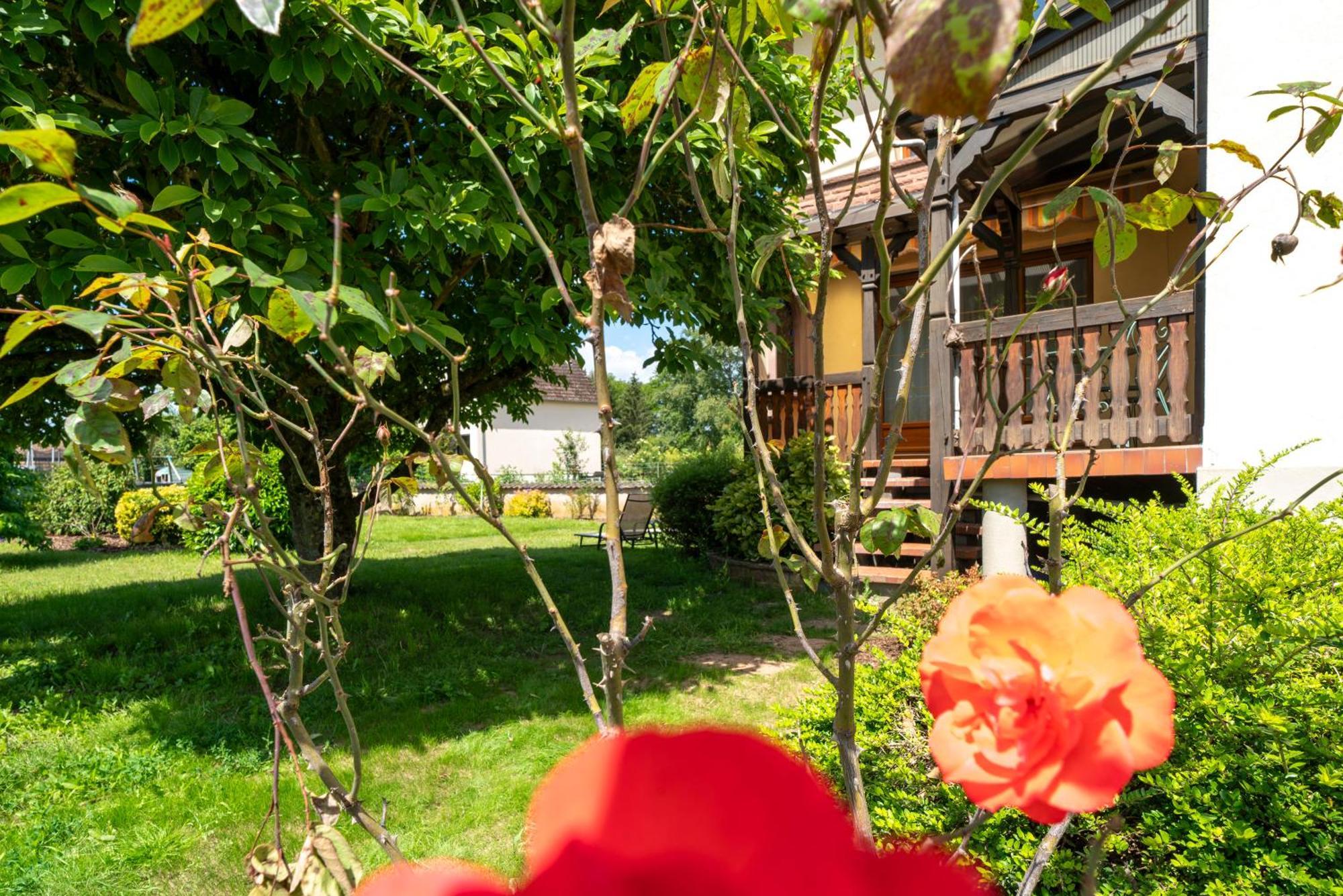 Bed and Breakfast La Clef Des Songes Merzmuhler Esterno foto