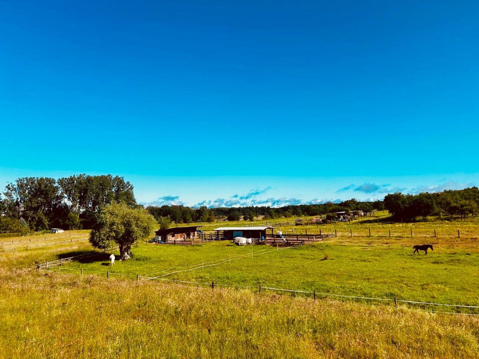 Bed and Breakfast La Clef Des Songes Merzmuhler Esterno foto